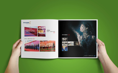 广告传媒全案策划 画册、广告与活动的整合传播之道